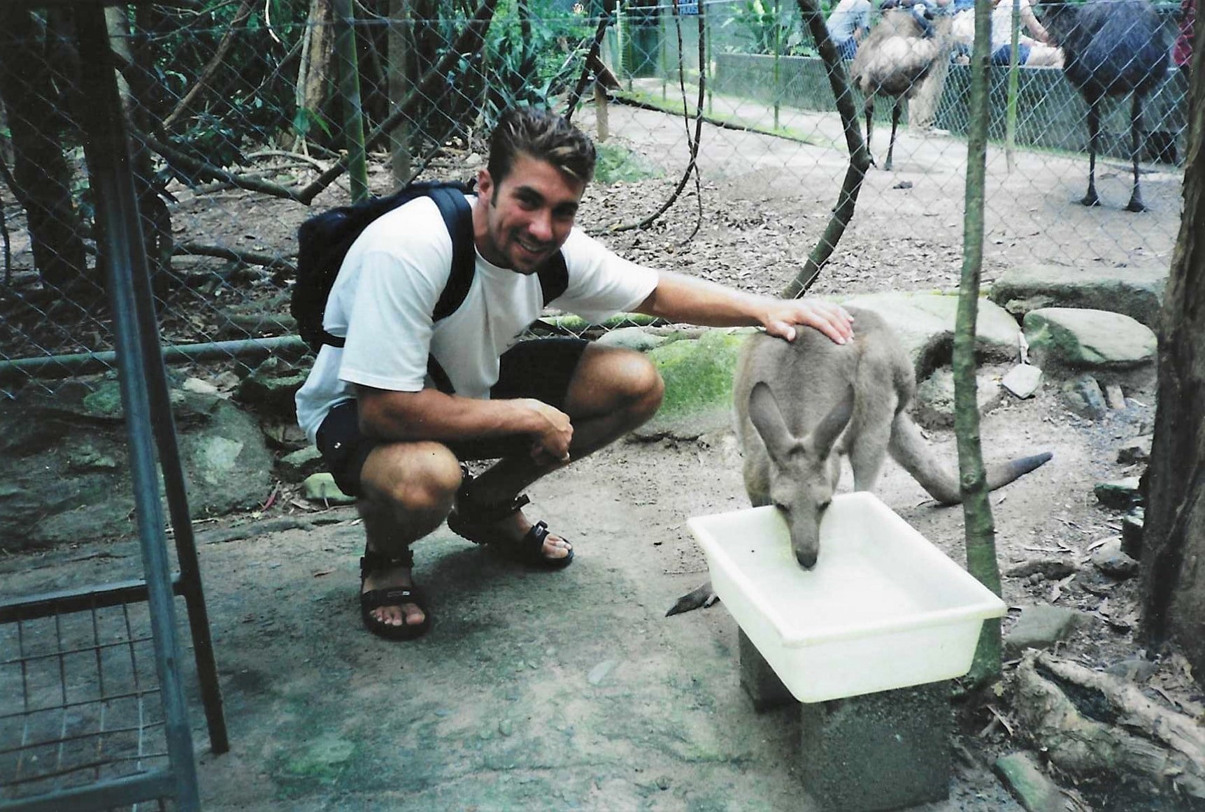 Australia — with a kangaroo on the road east
