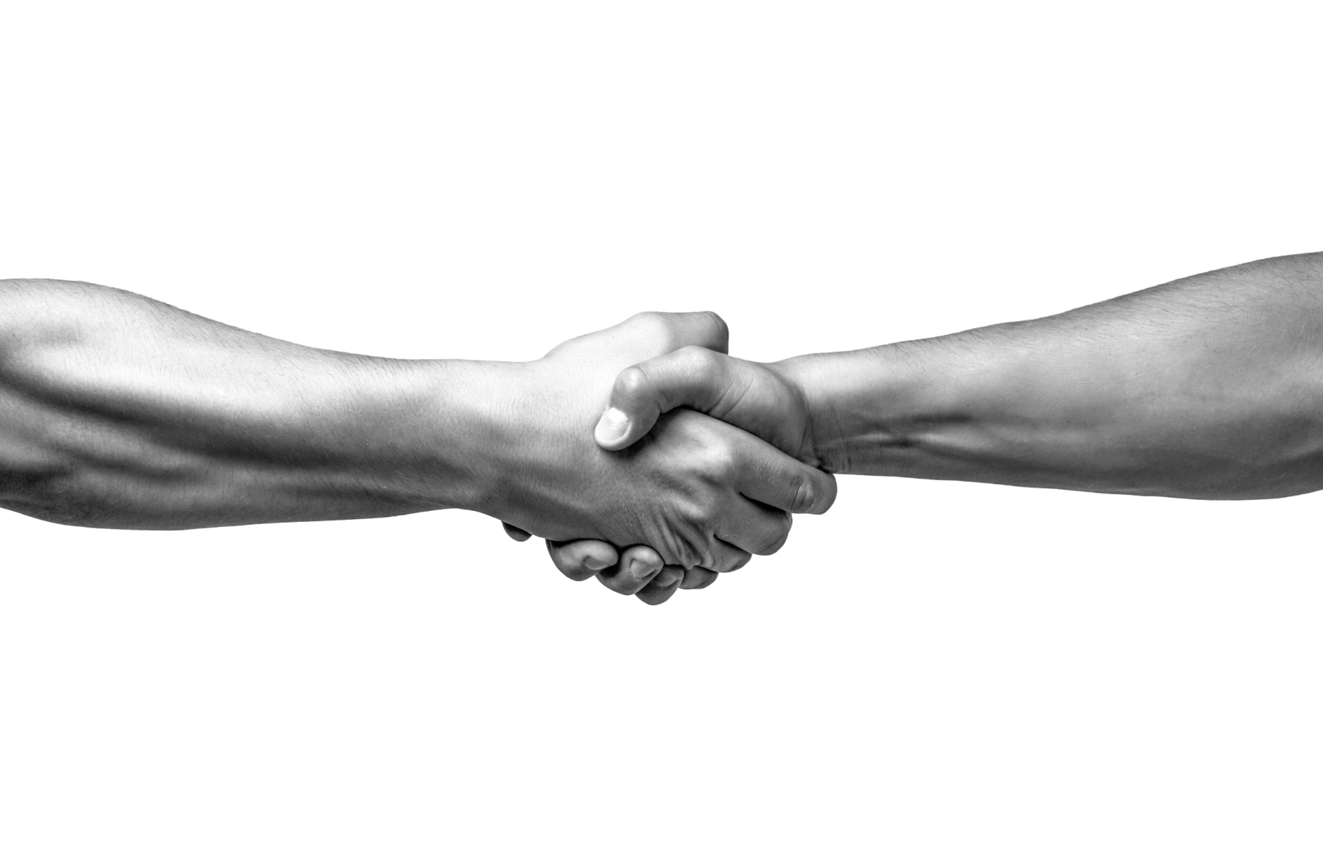 Two hands clasped in a firm handshake