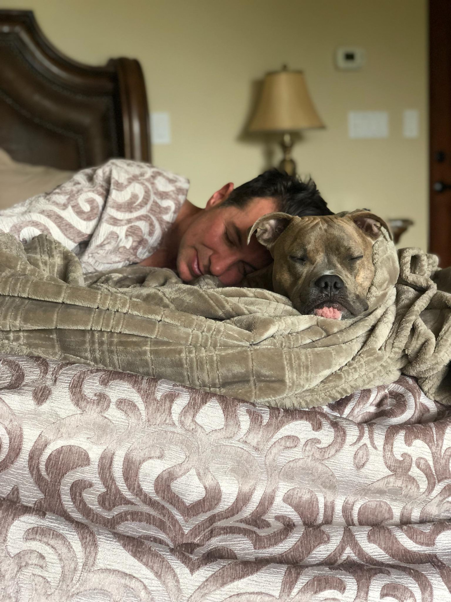 Napping beside the dog